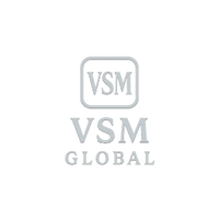 VSM Global 