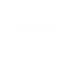 Alset IT Solutions – Elevating Talent & Technology 
