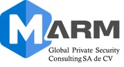 marm Global Security Consulting