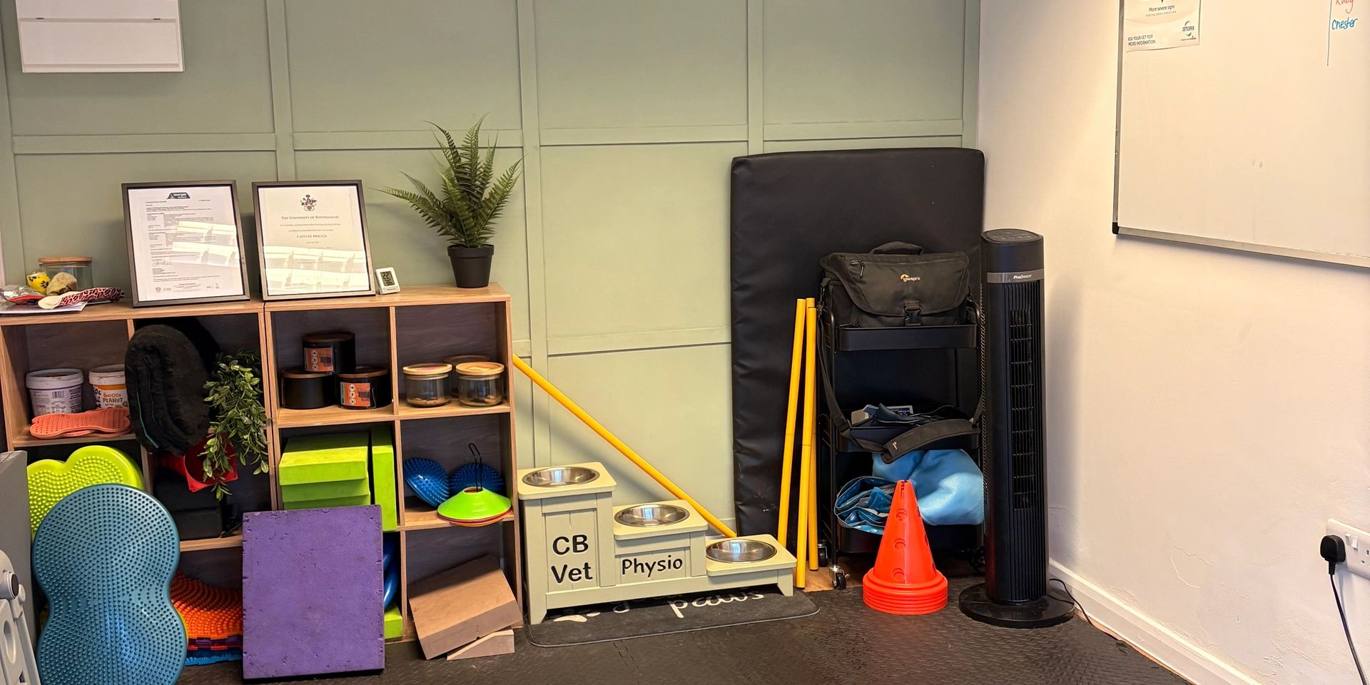 Organized therapy or vet room with equipment and storage.