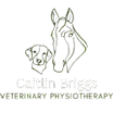 Caitlin Briggs Veterinary Physiotherapy