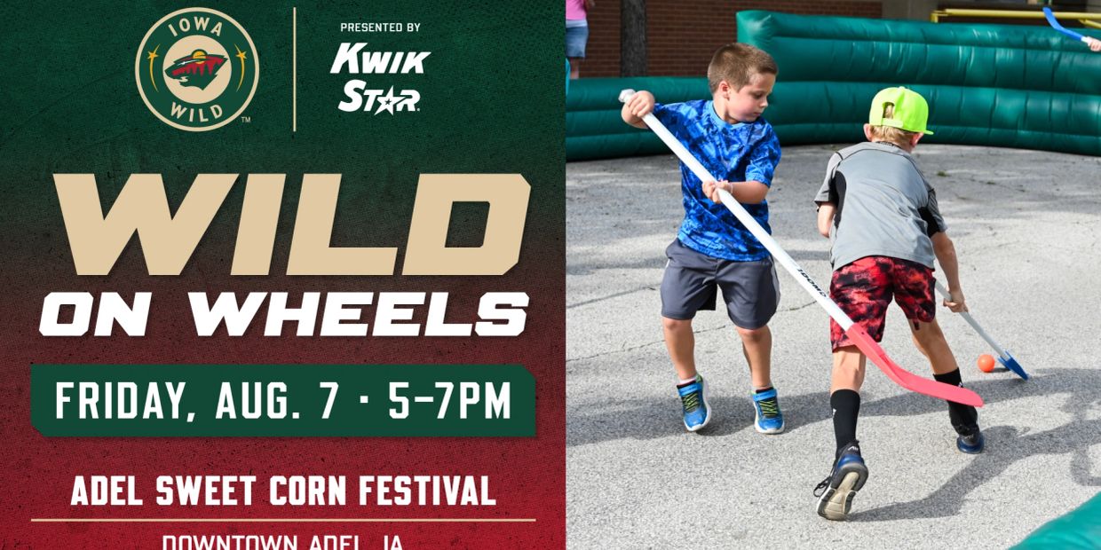Two boys playing street hockey at the Adel Sweet Corn Festival.