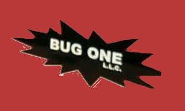 Bug One