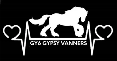 GY6 GYPSY VANNERS