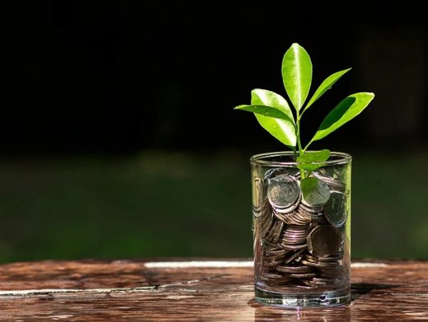 A glass filled with coins and a small plant growing from it.