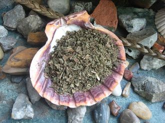 Patchouli Herb-Aphrodisiac,Prosperity, Love, Fertility