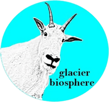 glacier biosphere