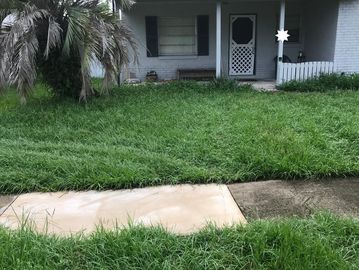 Overgrown grass in front of a residential house with a walkway.
