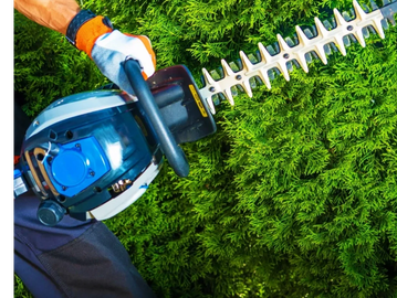 Person trimming green hedge with a gas-powered hedge trimmer.