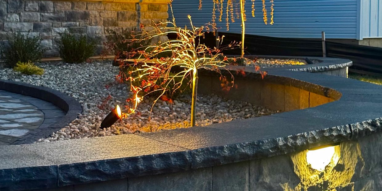 Illuminated small tree in a stone garden bed at dusk.