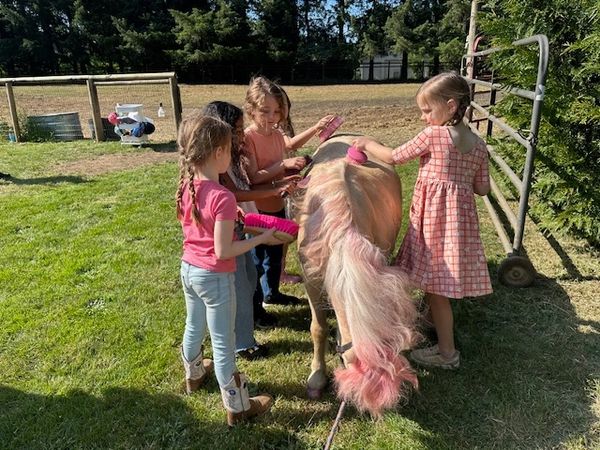 Vancouver,Washington / Portland, Oregon Mobile Pony Parties