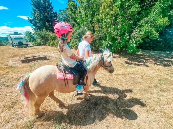 Vancouver,Washington / Portland, Oregon Mobile Pony Parties