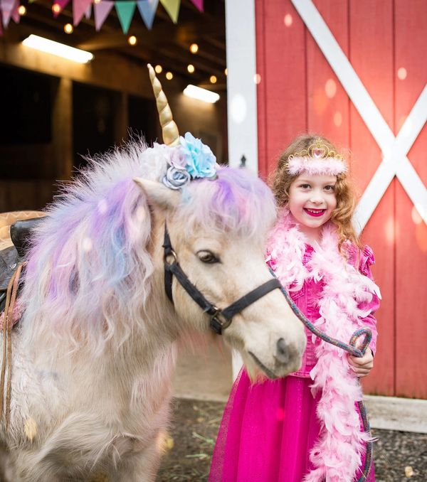 Equine Photoshoot | Unicorn Photoshoot | Western Photos near Portland Oregon / Vancouver Washington
