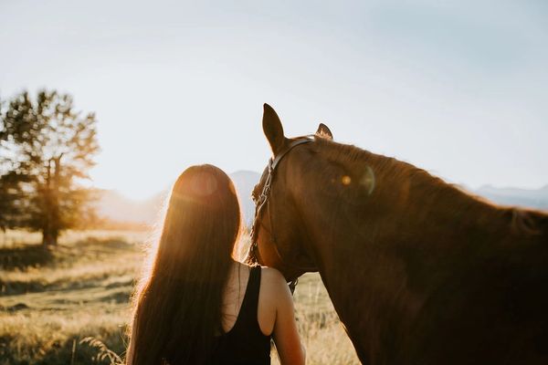 Equine Photoshoot | Unicorn Photoshoot | Western Photos near Portland Oregon / Vancouver Washington