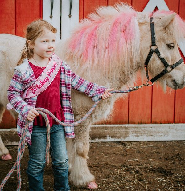 Equine Photoshoot | Unicorn Photoshoot | Western Photos near Portland Oregon / Vancouver Washington