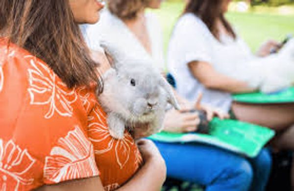Vancouver Washington Mobile Bunny Parties | Kids Birthday entertainment near Portland Oregon 