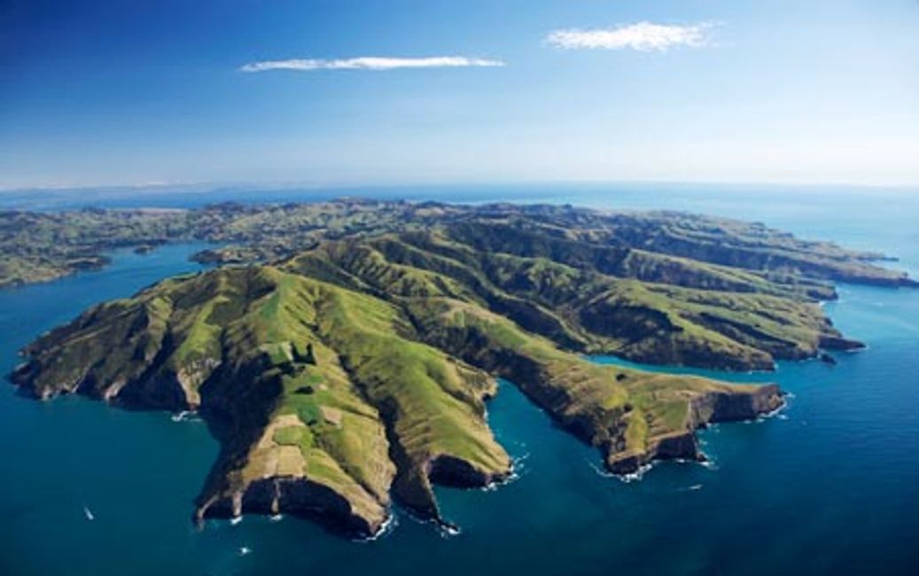 BANKS PENINSULA Lightwise Guild