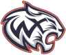 Wildcat Consulting Services LLC