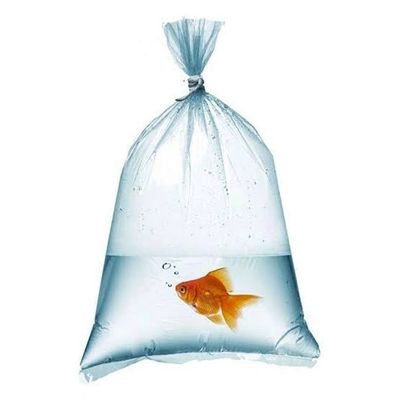 naylon torba naylon poşet şeker poşeti bakliyat torbası