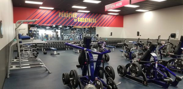 Empty gym with weightlifting equipment and motivational quote.
