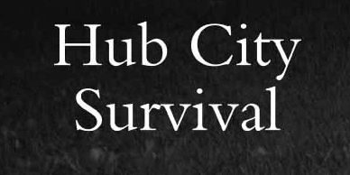 Hub City Survival cover by K. M. Cooper