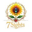 7 Sights