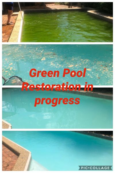 Green Pool Restoration