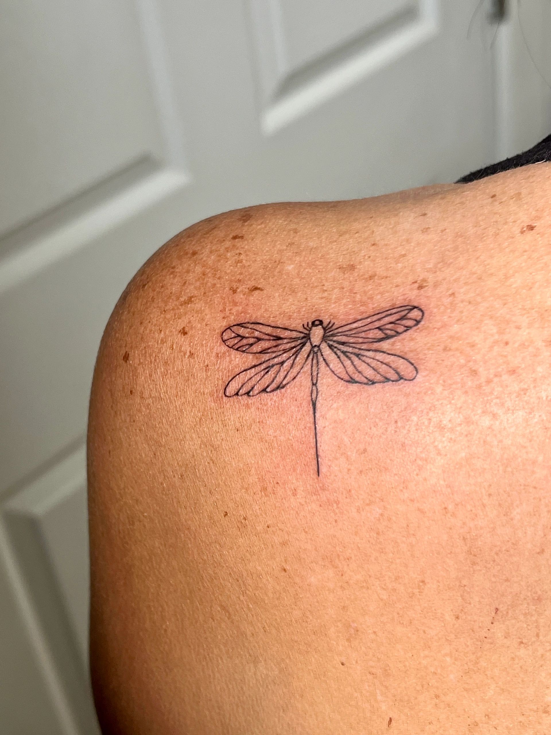 Delicate dragonfly tattoo with detailed wings on shoulder.