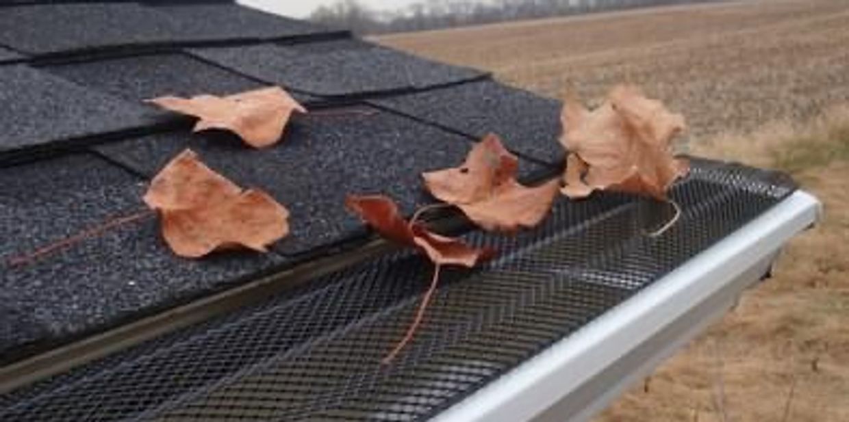 Gutter guard and leaf cleaning 