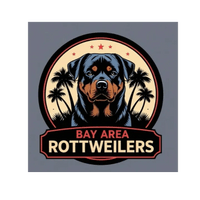 Bay Area Rottweilers