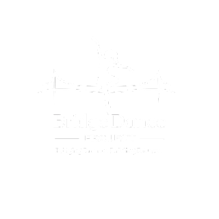 Bridge Dance Project