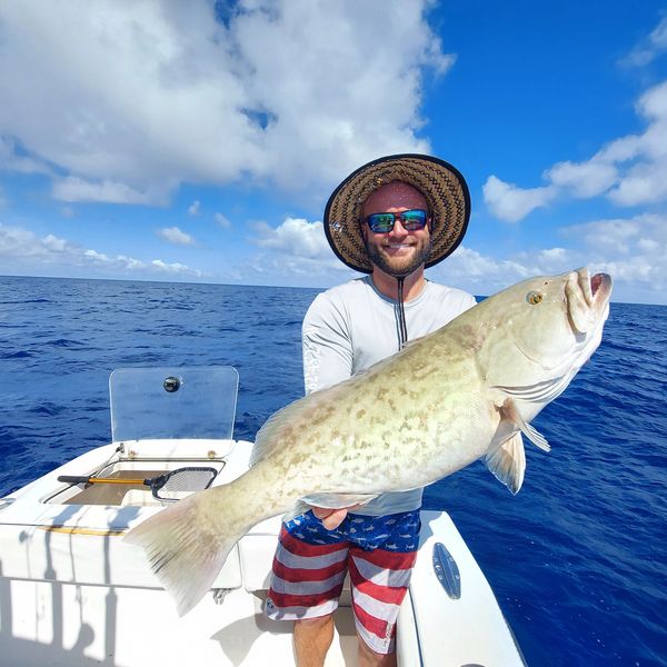 Grouper on a charter fishing expedition.