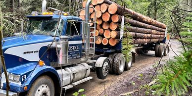 Blue Logging Tuck, Trucking services, Logging services in Washington. 