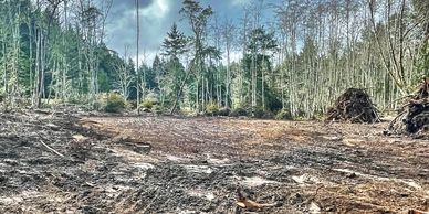 Land clearing services, Washington, Excavation services, trucking, and logging services. 