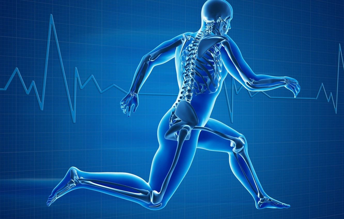 Bodytech - Photo 5