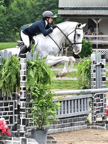 Equestrian rider jumping over an obstacle with a white horse during competition.