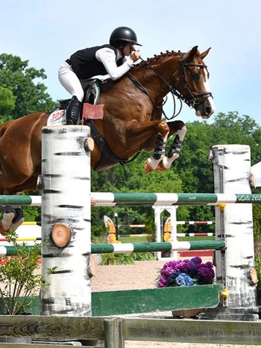 Equestrian rider jumping over an obstacle during a competition.