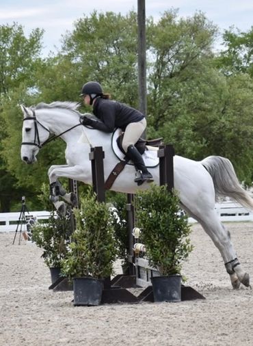 Rider and white horse jumping over an obstacle in an equestrian event.