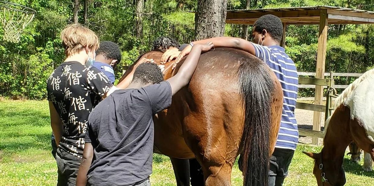 Therapeutic Riding in Charleston, South Carolina