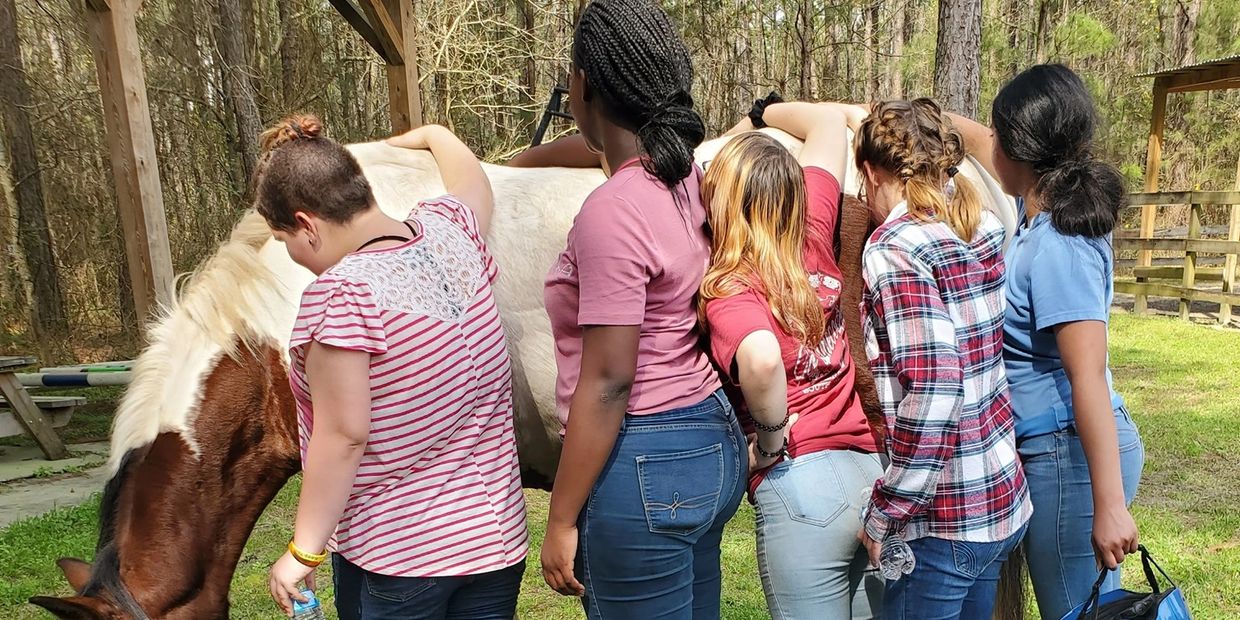 Therapeutic Riding in Charleston, South Carolina