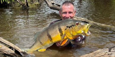 Homem segurando um grande peixe amarelo na água.