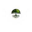 NN Elite Landscape & Tree Experts