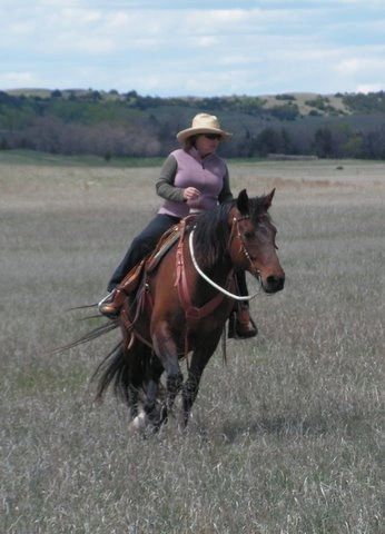 Horse Lover's Bunkhouse Home of Heart in Your Hand Horsemanship