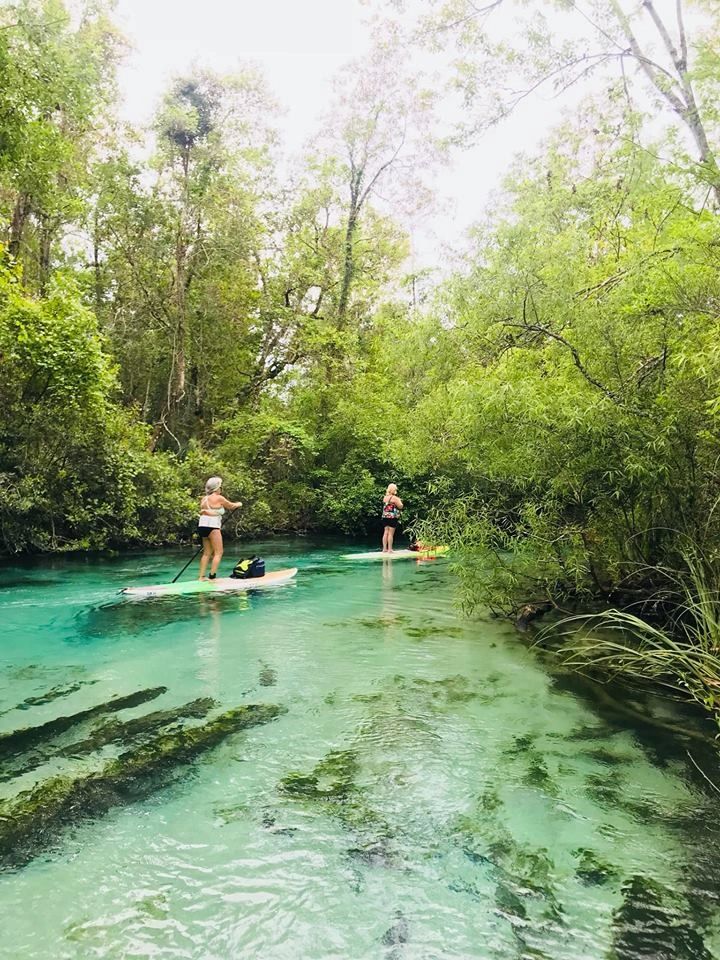 Paddle Board and Kayak Rentals - Paddle Florida Now