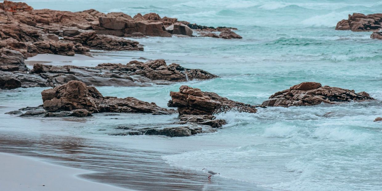 Rocks along the east coast of tasmania