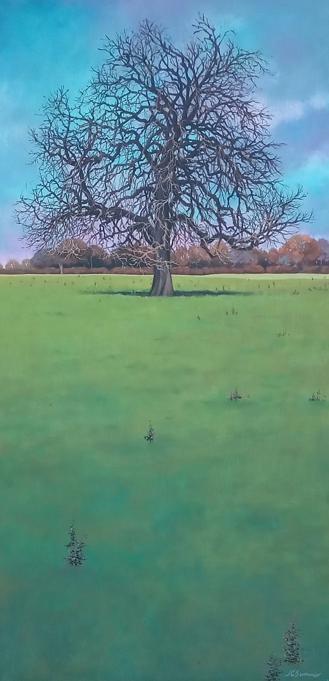 SOLITARY TREE - STONE COMMON
OIL ON BOARD
30cm 60cm