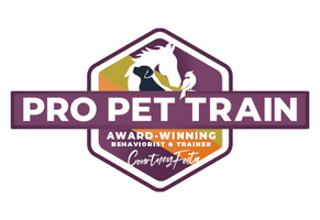 Pro Pet Train