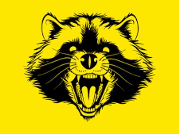 Black raccoon face illustration on yellow background with mouth open.