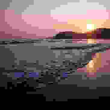 <img src="The maids Moggs creek cleaning service .png" alt="house cleaning Moggs creek">