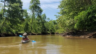 Blues City Kayaks river guide Mike Dawkins on the Hatchie River near Bolivar, TN.